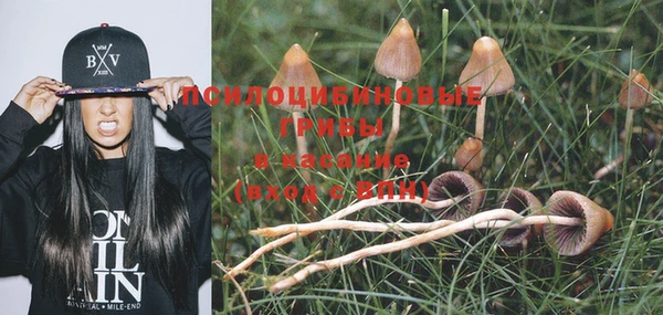 экстази Елизово