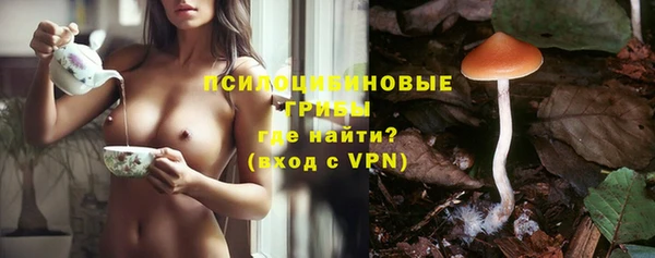 mix Ельня