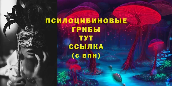 mix Ельня