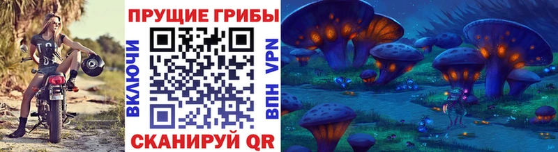 Псилоцибиновые грибы прущие грибы  Очёр 
